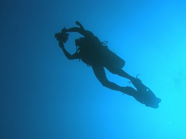 Diving in East Timor Diving in East Timor