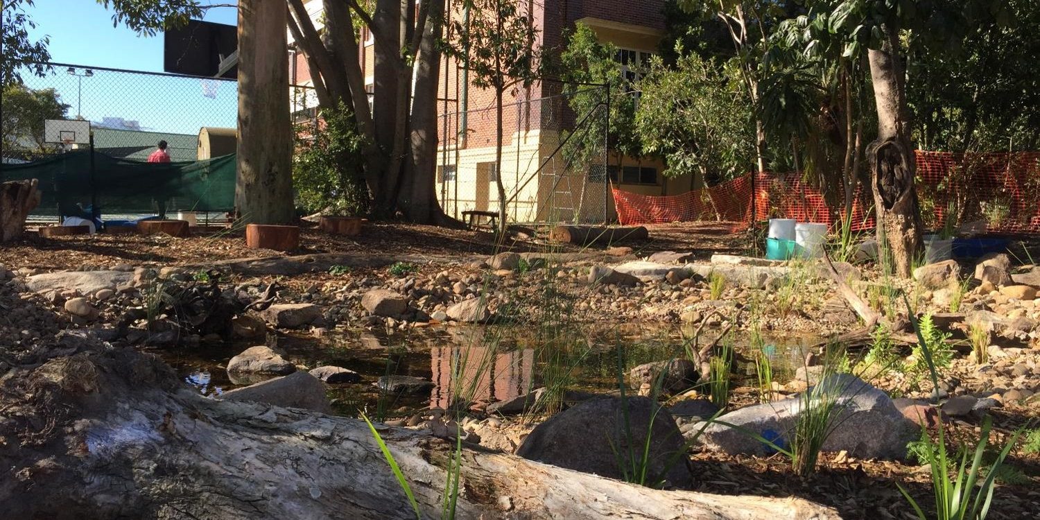 wetland_Compressed Pic