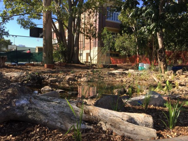 wetland_Compressed Pic