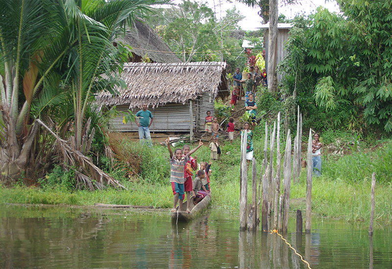 Hydrobiology PNG Hydrobiology PNG
