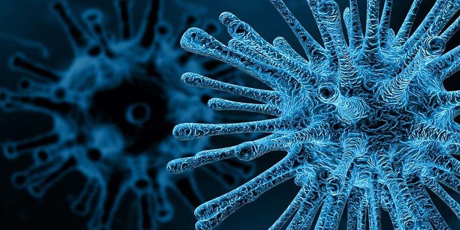 COVID-19 (Coronavirus) - Our New (albeit temporary) Normal