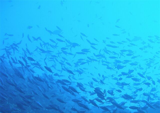 At Hydrobiology, sustainability is core to our strategy and integrated into everything we do. At Hydrobiology, sustainability is core to our strategy and integrated into everything we do.