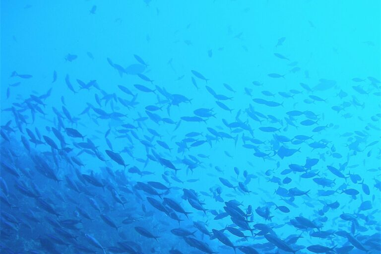 At Hydrobiology, sustainability is core to our strategy and integrated into everything we do. At Hydrobiology, sustainability is core to our strategy and integrated into everything we do.