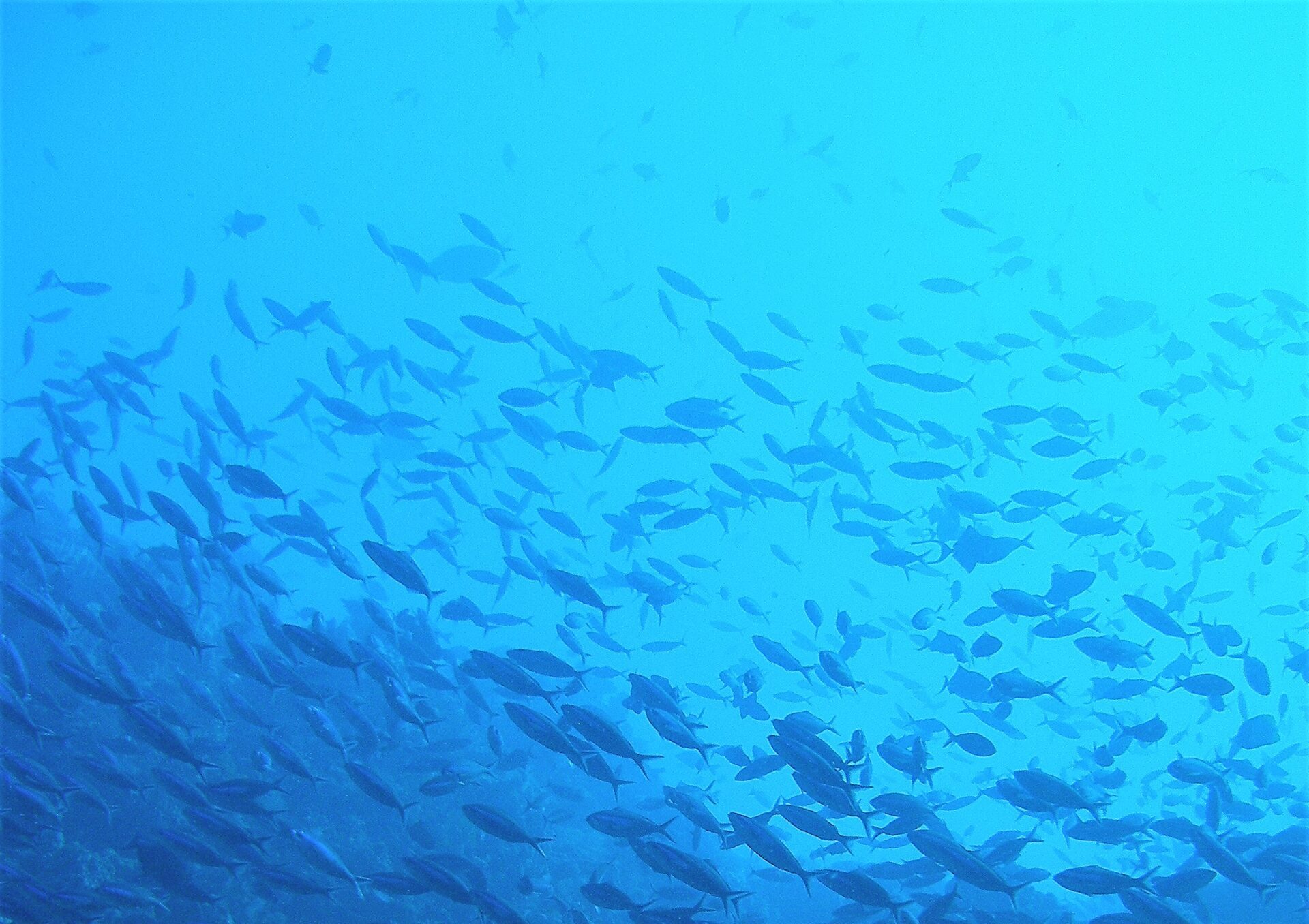 At Hydrobiology, sustainability is core to our strategy and integrated into everything we do. At Hydrobiology, sustainability is core to our strategy and integrated into everything we do.